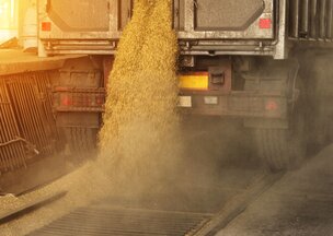 Un vent de renouveau dans les terminaux de grains du Saint-Laurent