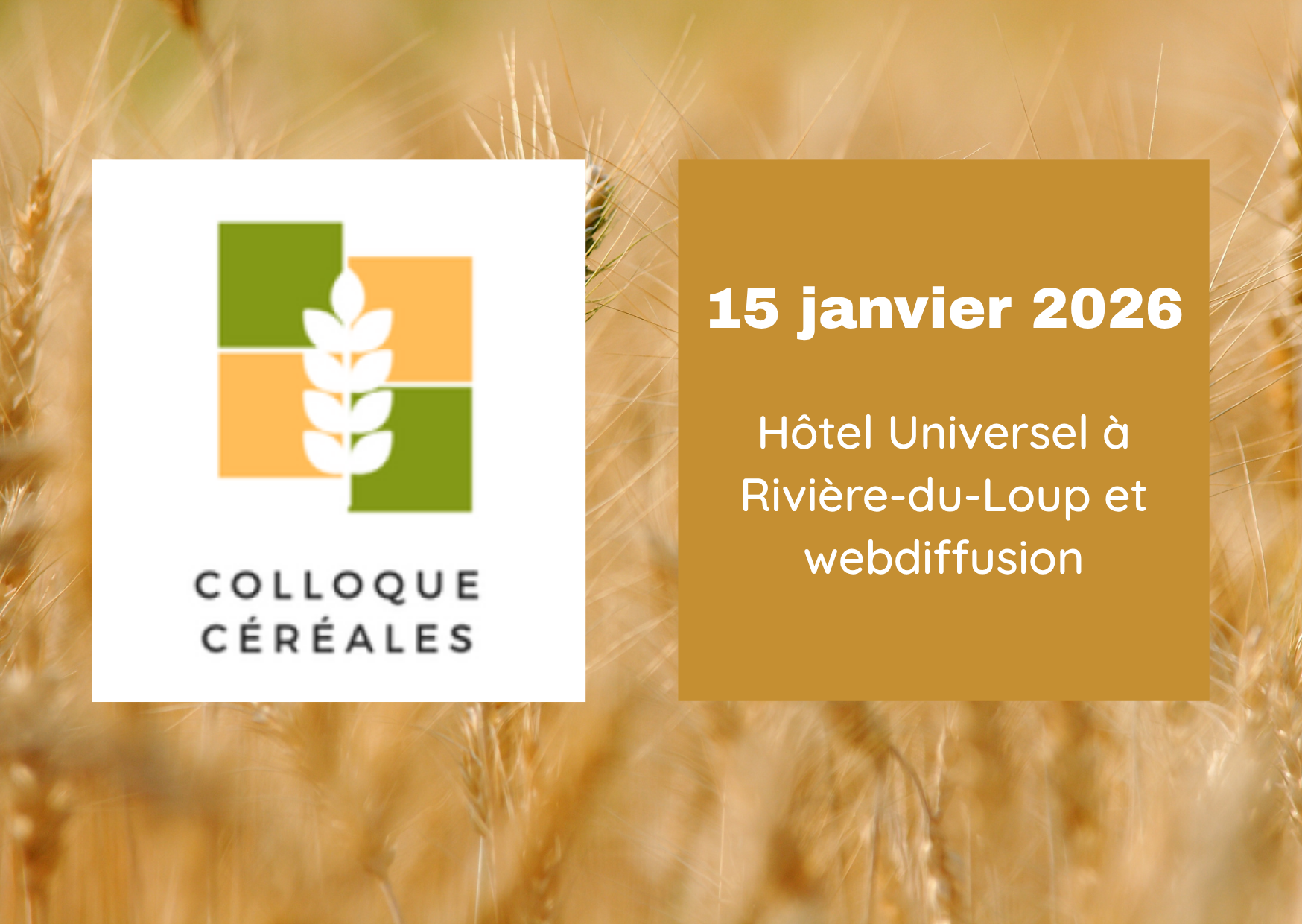 Colloque Céréales 2026