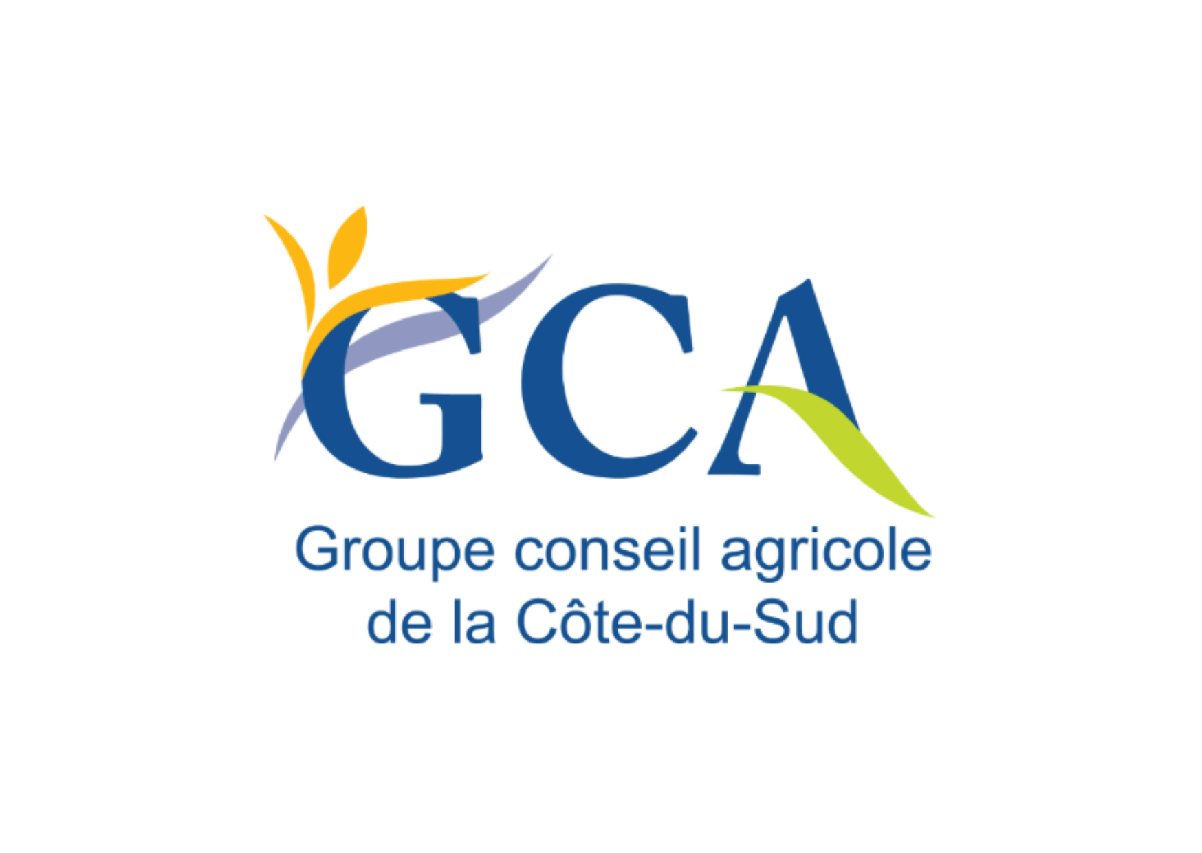 Présentation de l'analyse de groupe - Édition 2025