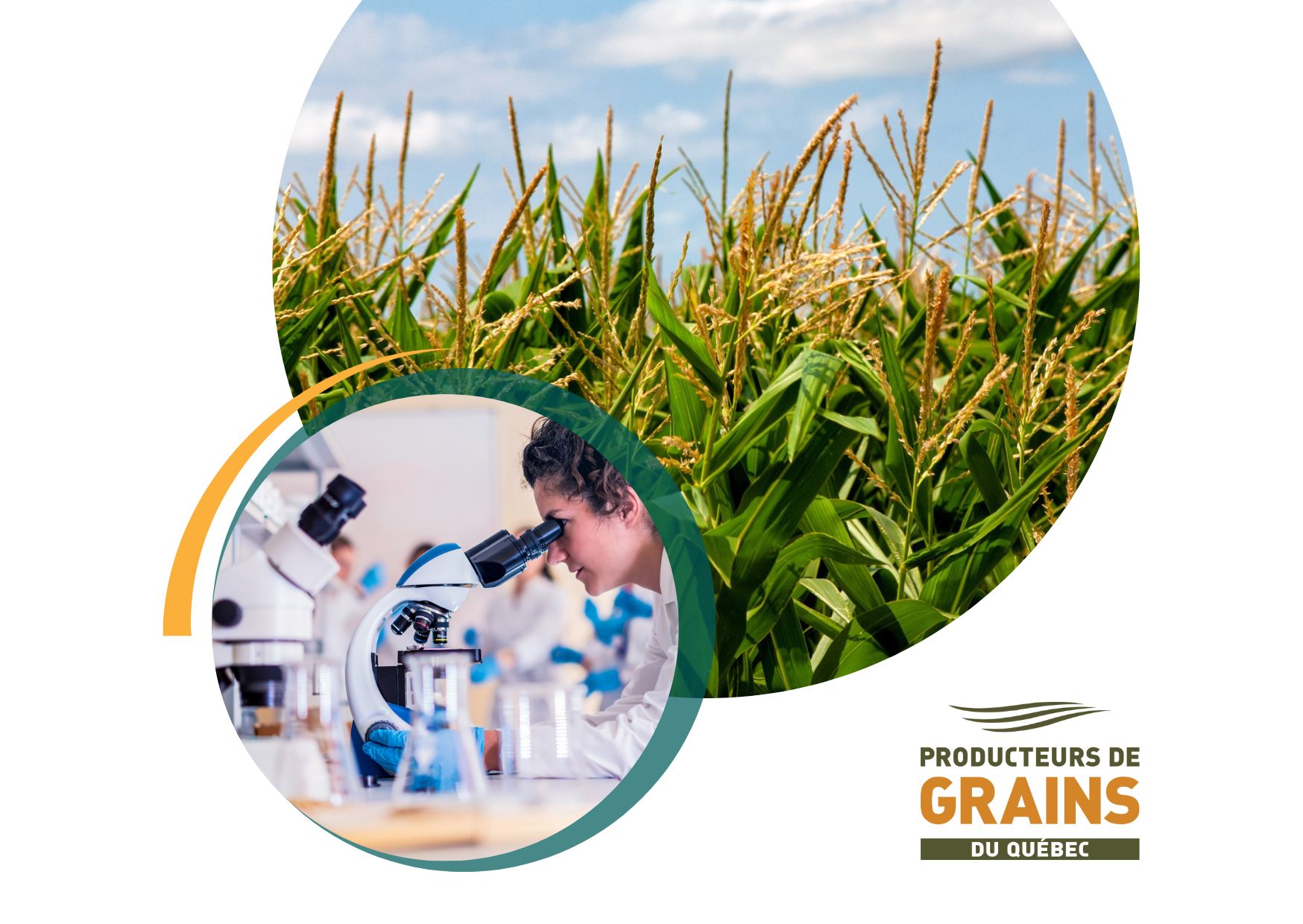 Forum sur les besoins en recherche dans la production de grains
