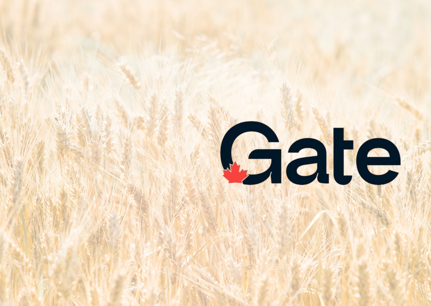 Les Producteurs de grains du Québec s’engagent à appuyer le Global Agriculture Technology Exchange (Gate)