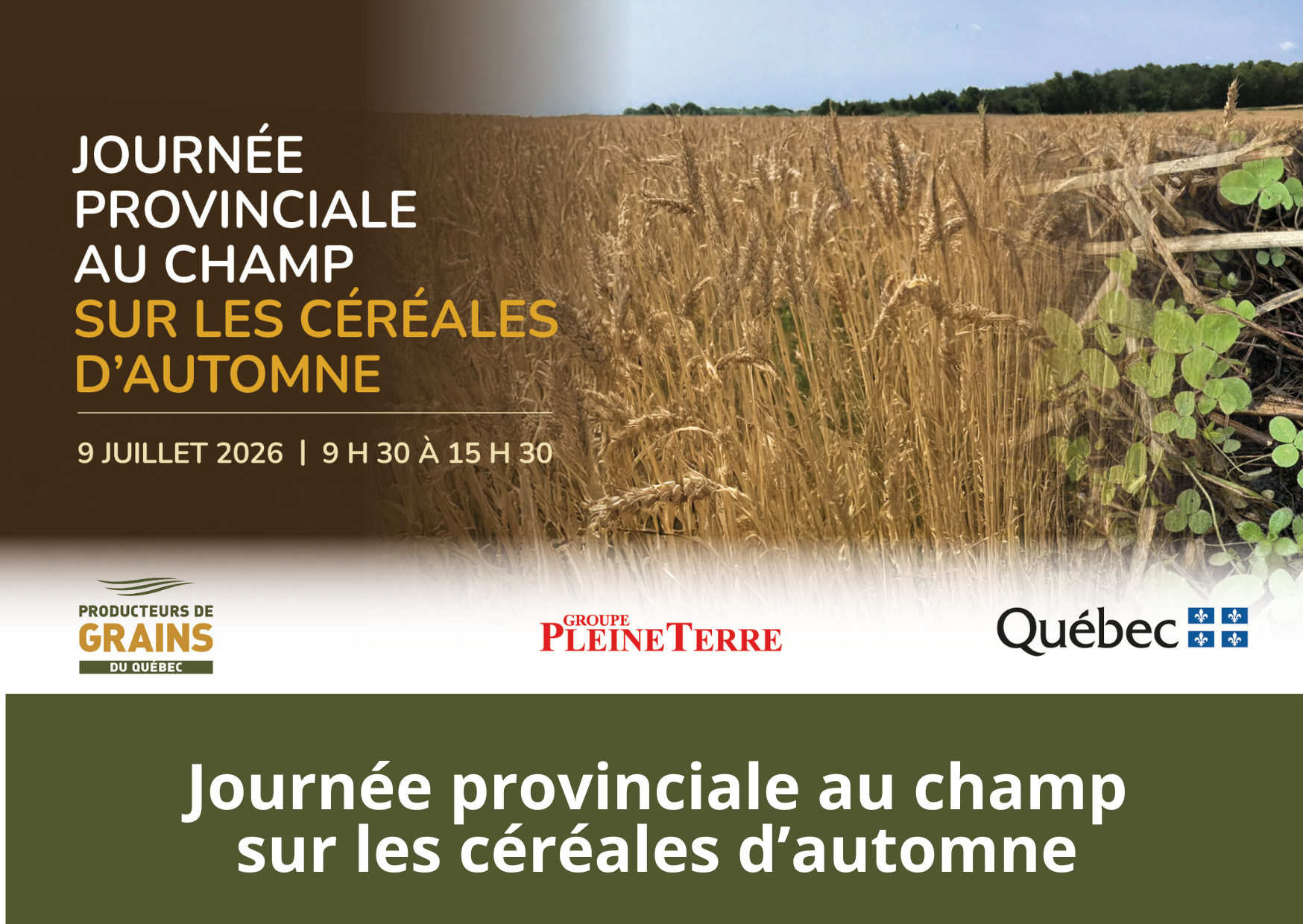 Journée de champ provincial sur les céréales d’automne 