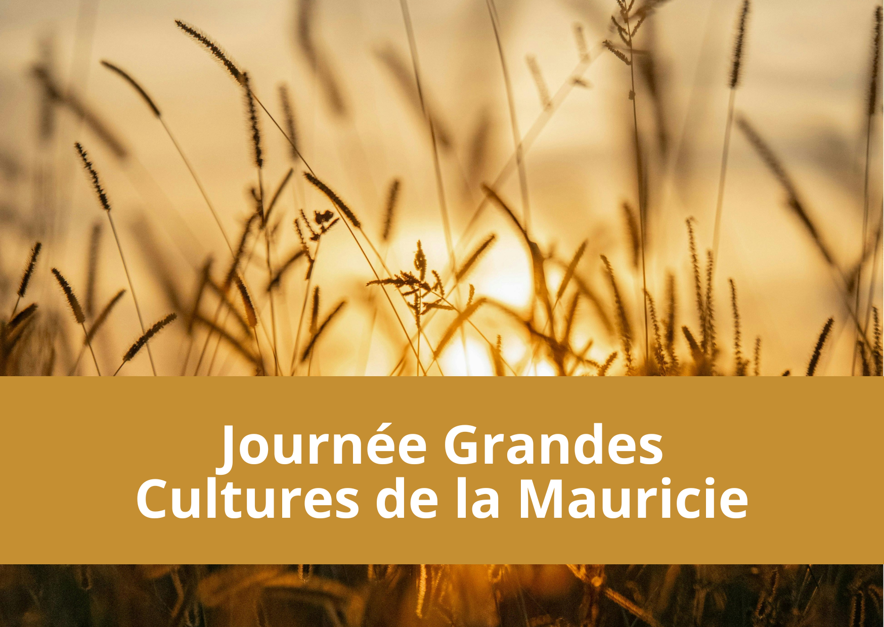 Journée Grandes cultures de la Mauricie