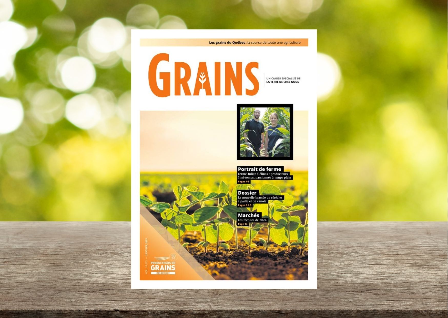 Cahier Grains - Janvier 2025
