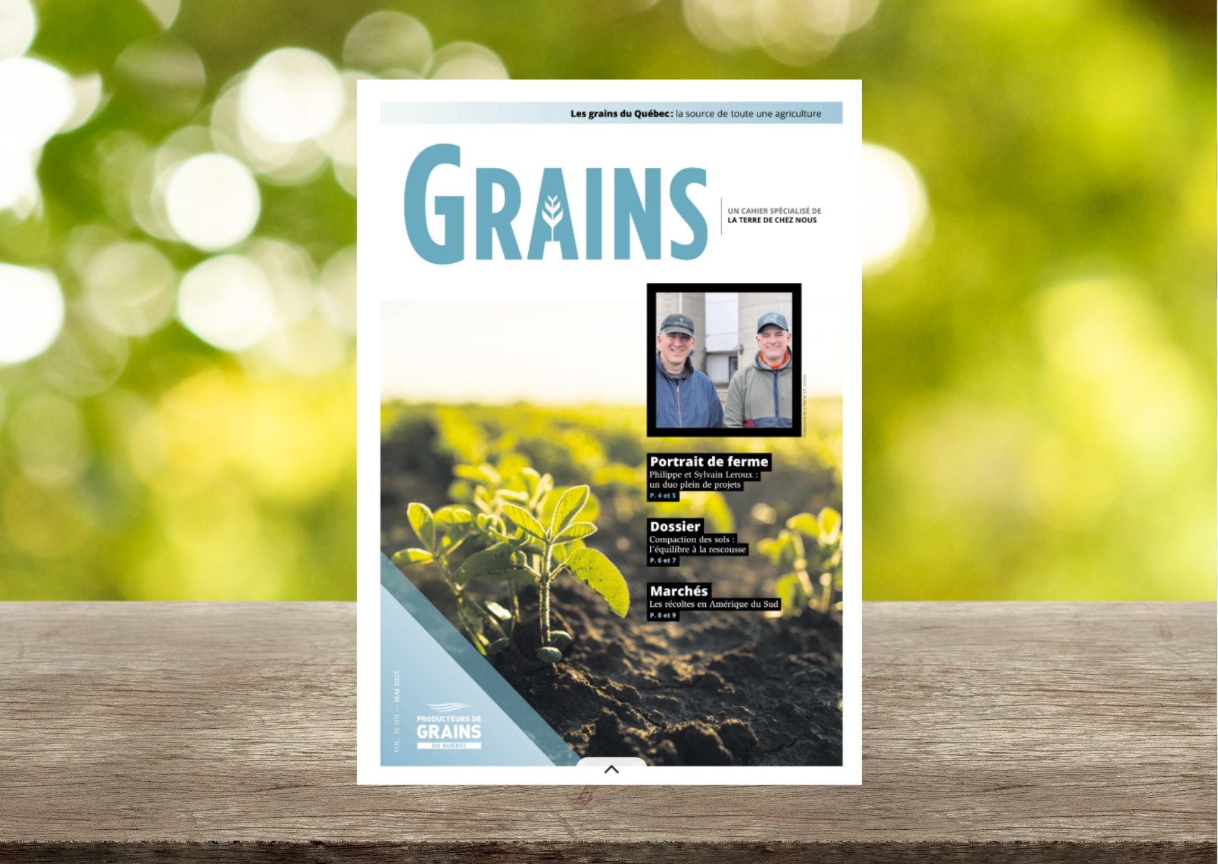 Cahier Grains - Mai 2025