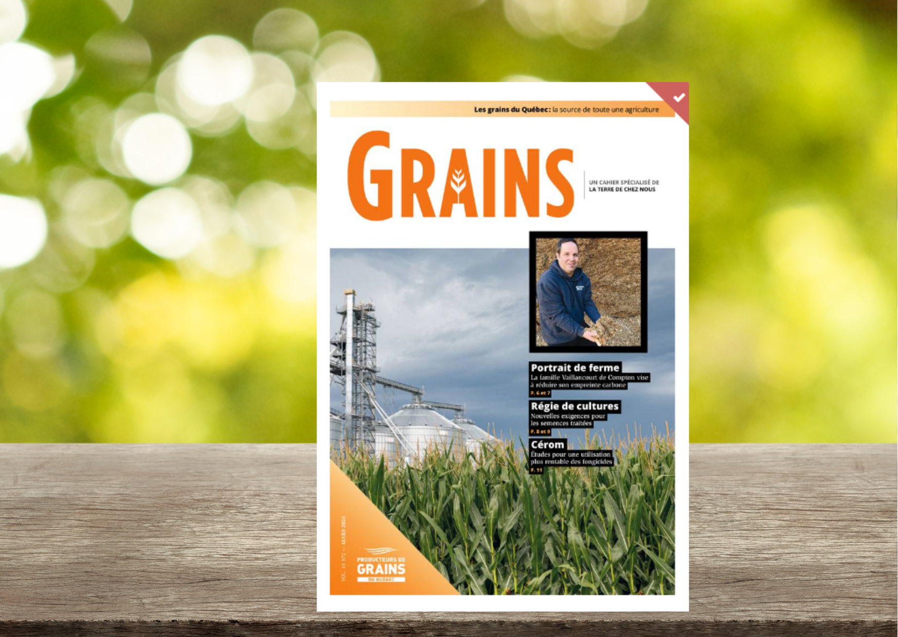 Cahier Grains - Février 2024