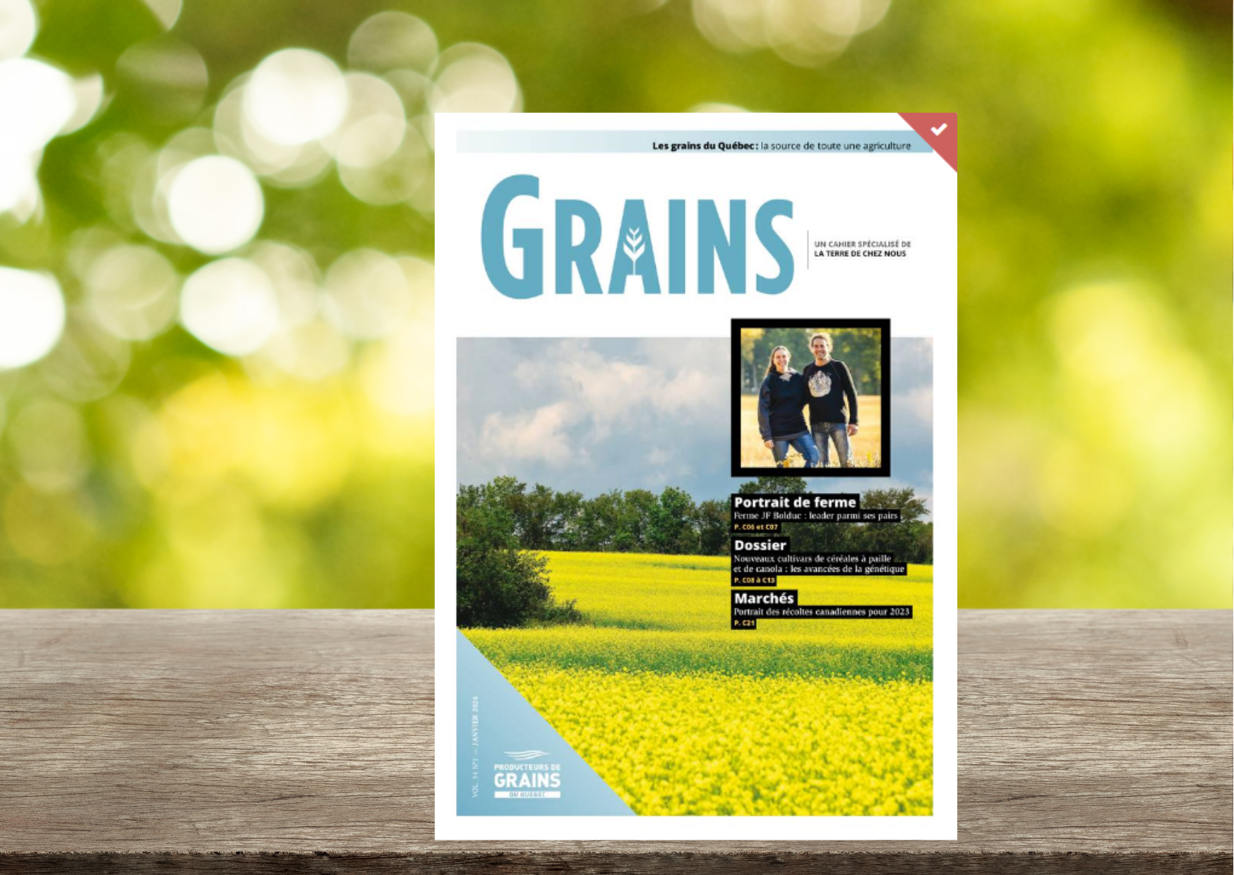 Cahier Grains - Janvier 2024
