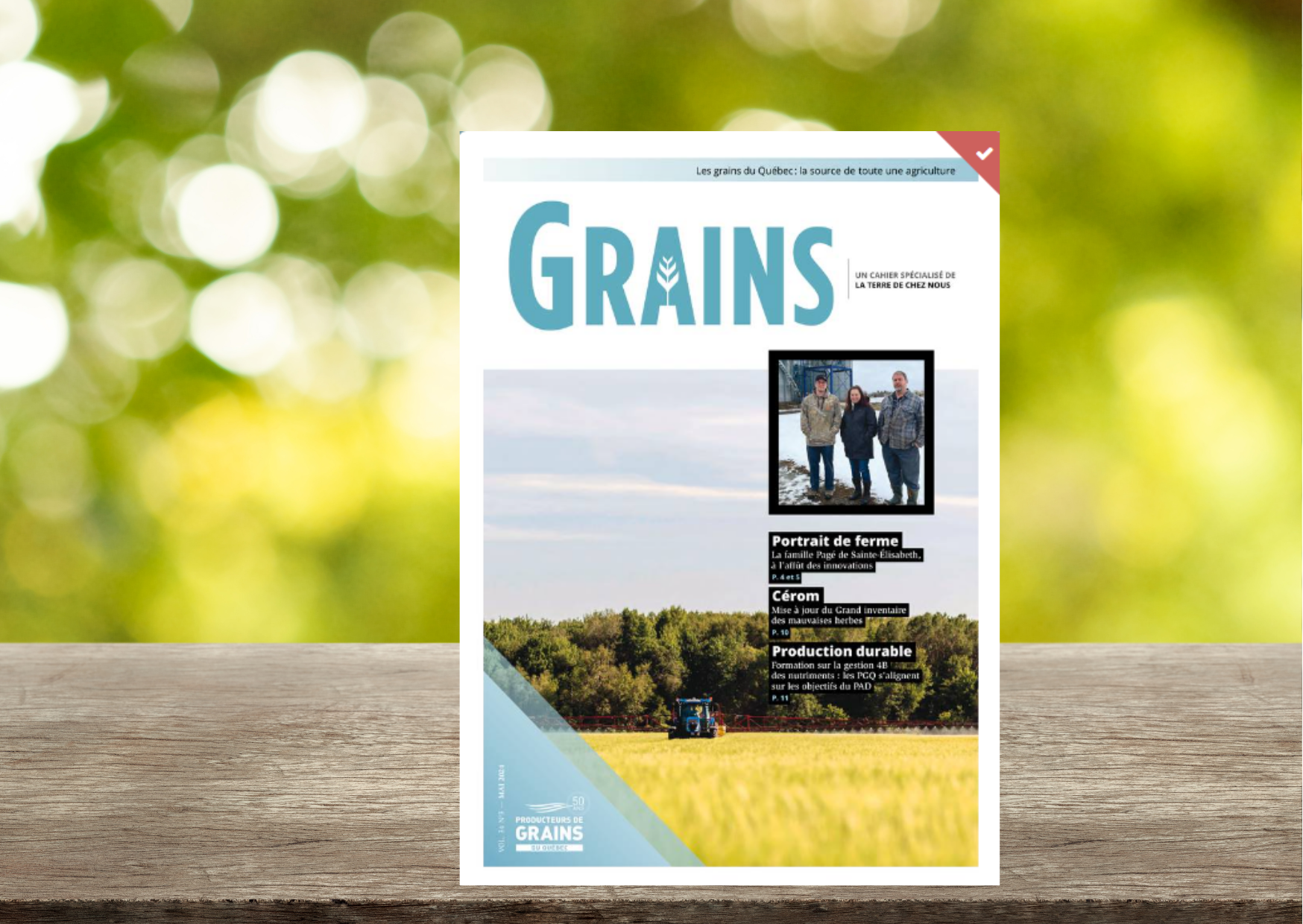 Cahier Grains - Mai 2024