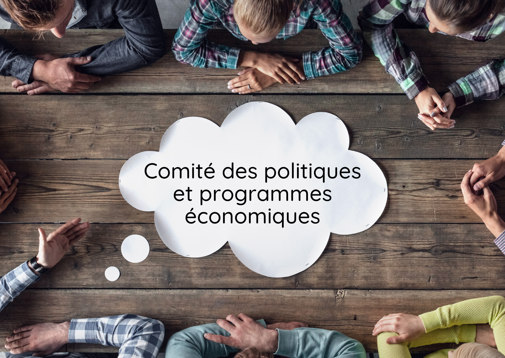 Comité politiques et programmes économiques