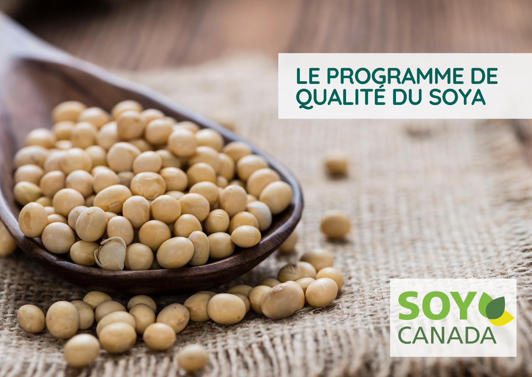Le programme de qualité du soya est désormais géré par la Commission canadienne des grains