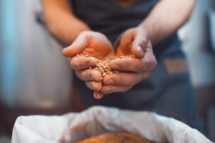 Autres grains