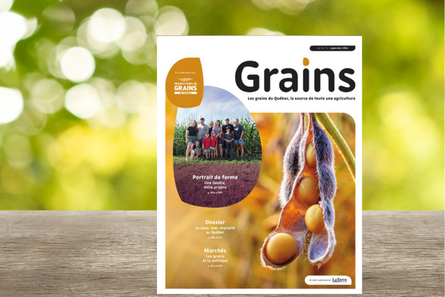 Cahier Grains - Septembre 2026