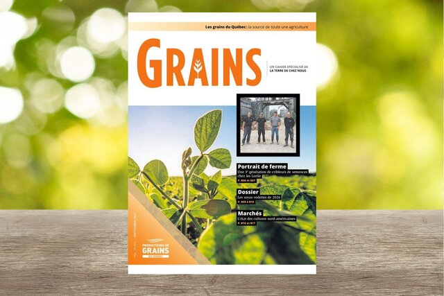 Cahier Grains - Septembre 2025