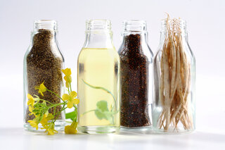 huile canola