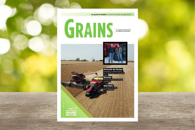 Cahier Grains - Février 2025