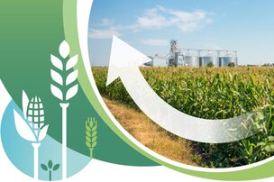 Volet Gestion de l’azote 