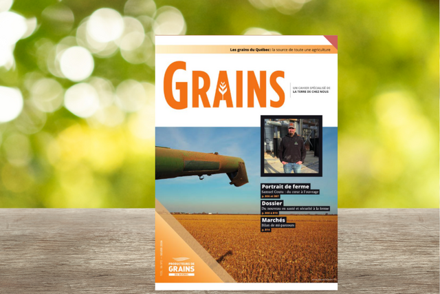 Cahier Grains - Février 2026