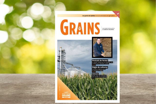 Cahier Grains - Février 2024