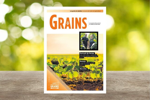 Cahier Grains - Janvier 2025