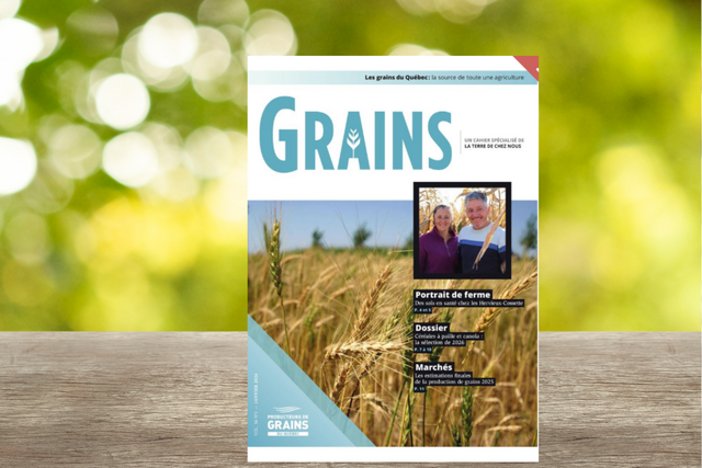Cahier Grains - Janvier 2026