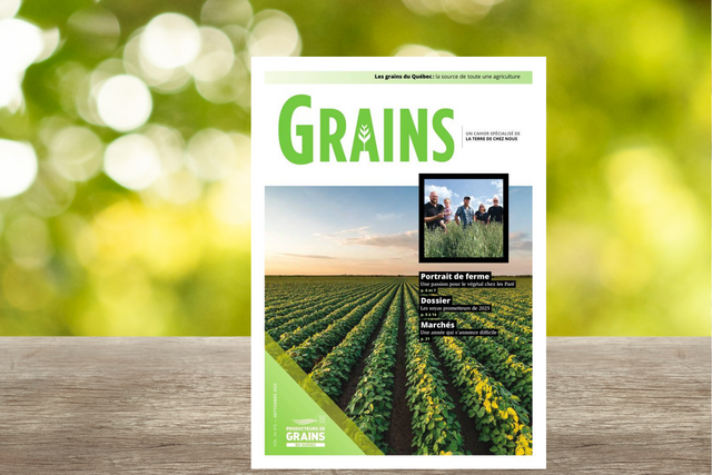 Cahier Grains - Septembre 2024