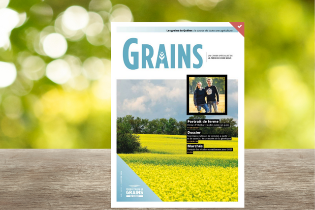 Cahier Grains - Janvier 2024