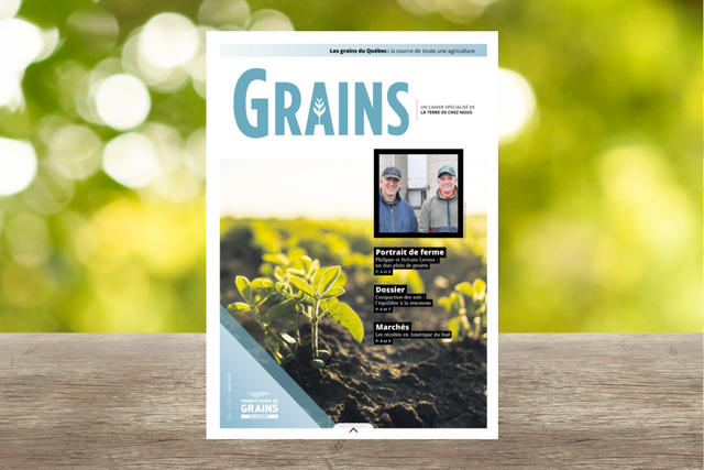 Cahier Grains - Mai 2025