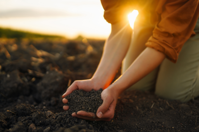 Réaction au rapport de la commissaire au développement durable