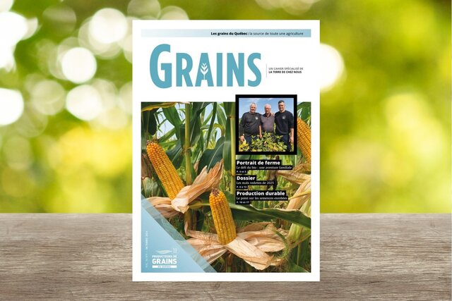 Cahier Grains - Octobre 2024