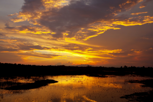 Tempête Debby : Annonce d’une assistance financière