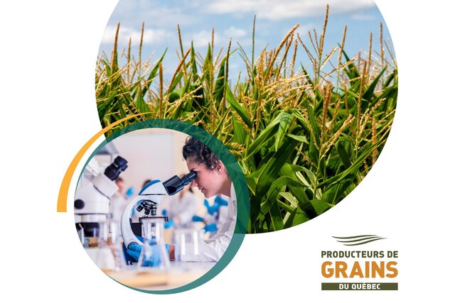 Forum sur les besoins en recherche dans la production de grains