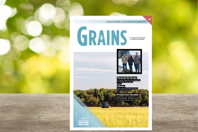 Cahier Grains - Mai 2024