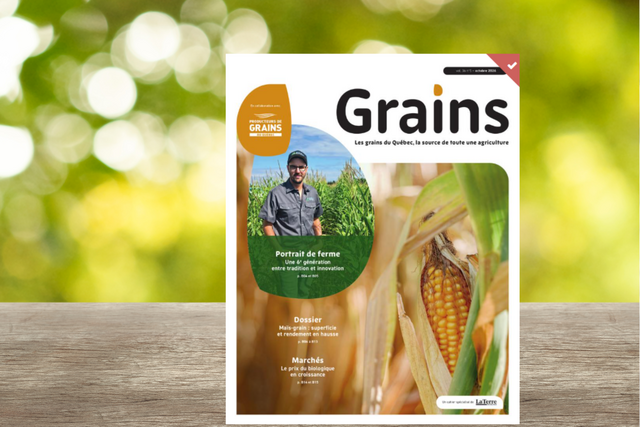 Cahier Grains - Octobre 2026