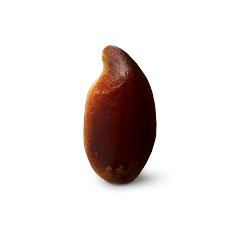 Lin