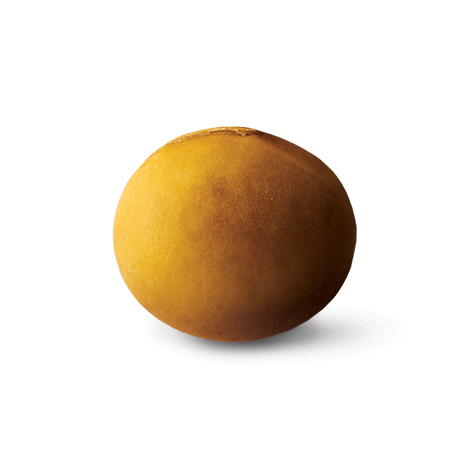 Soya